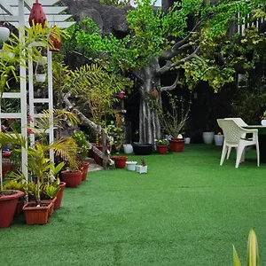 Homestay S & B Dreams House