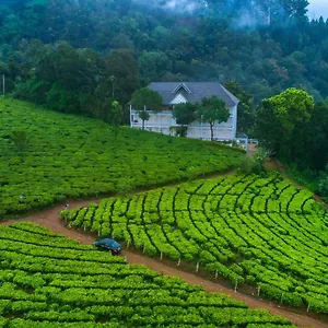 Station touristique Tea Harvester, Munnar