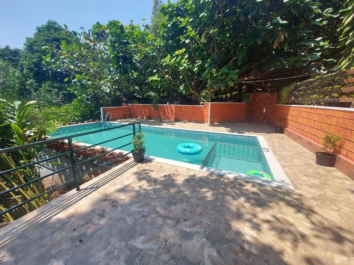 Spice Jungle Resort Munnar Bed & Breakfast