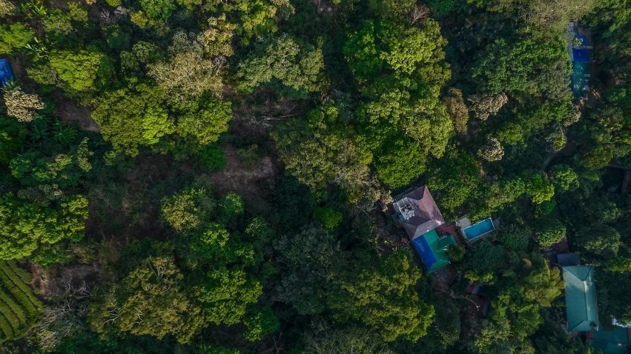 Spice Jungle Resort Munnar India