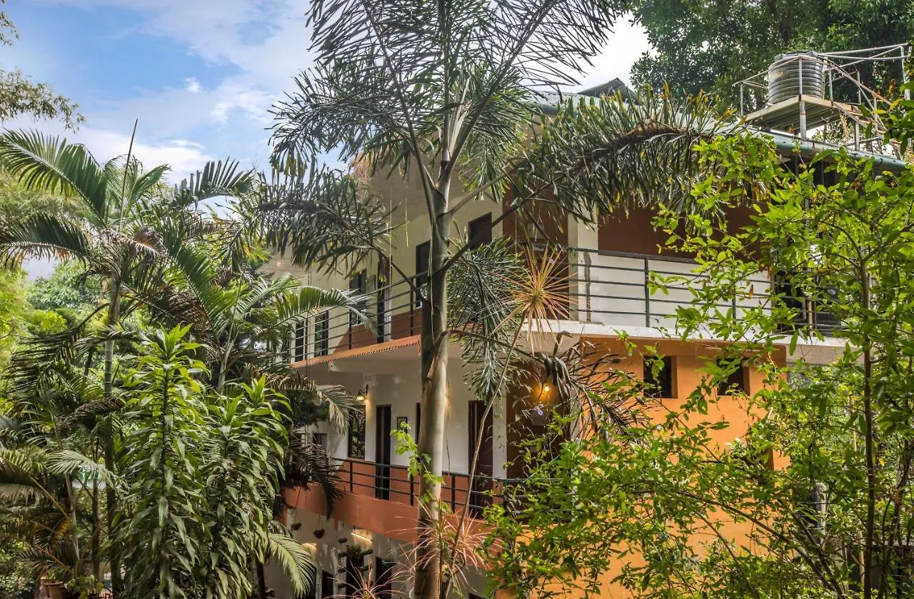 Bed & Breakfast Spice Jungle Resort Munnar
